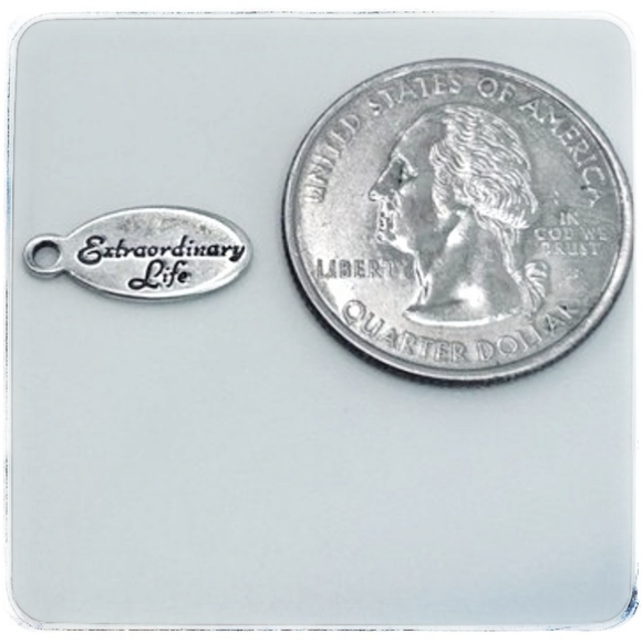 .LA Sterling Silver Extraordinary Life Oval Pendant - Picture 2 of 3